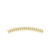 Youth Baseball Info